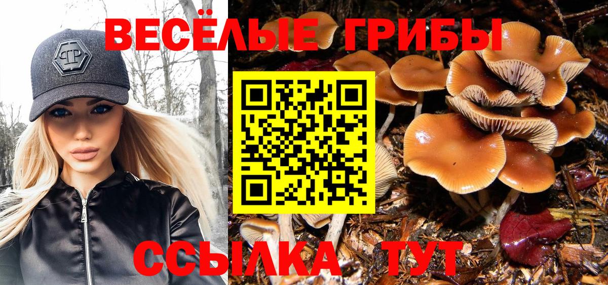 Галлюциногенные грибы Cubensis Железногорск